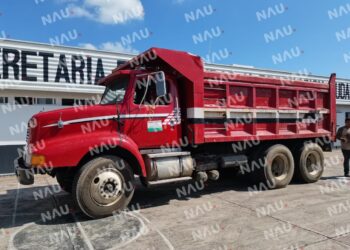 Aseguran 70 trozos de madera que era transportado en un camión de volteo