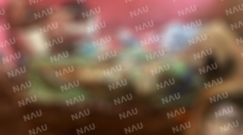 Muere salvadoreño por enfermedad en Vida Mejor