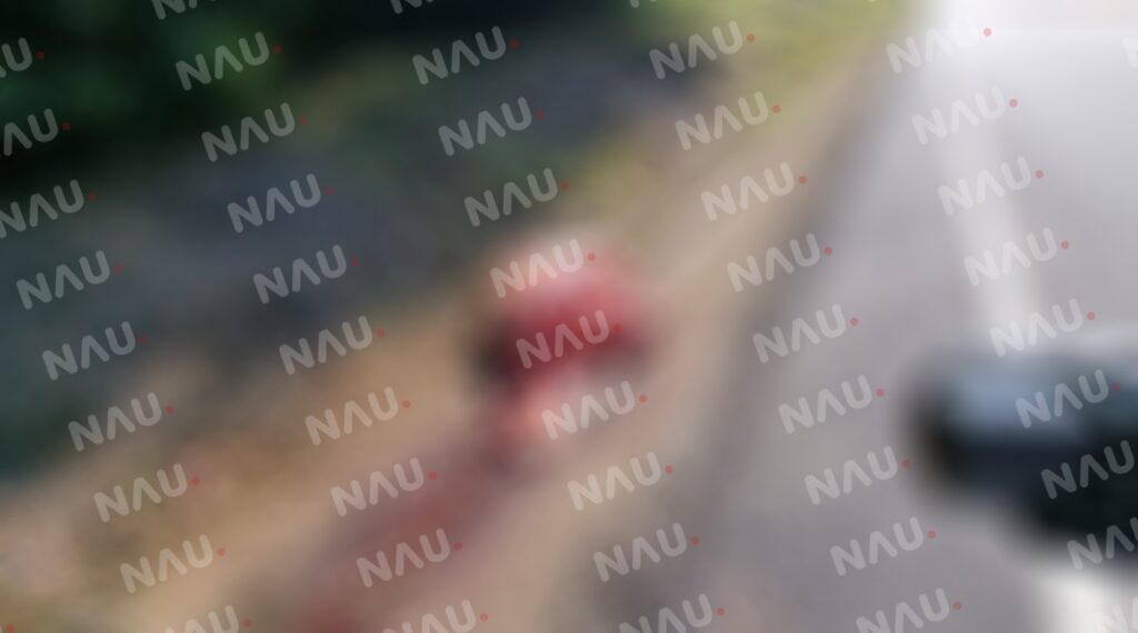 Cuatreros destazan una vaca en Mapastepec