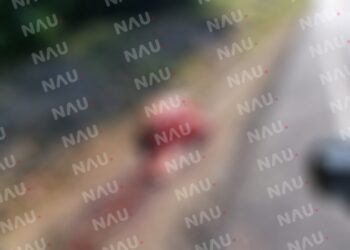 Cuatreros destazan una vaca en Mapastepec