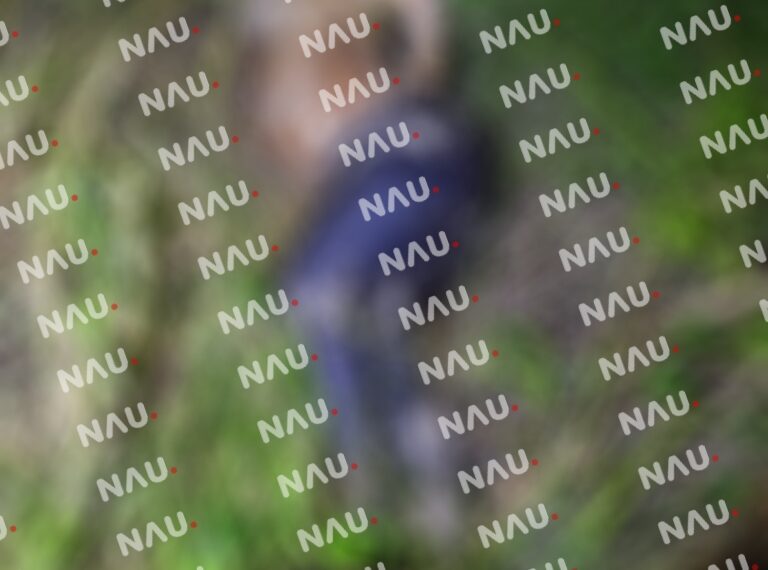 Localizan cuerpo en avanzado estado de putrefacción en Suchiate