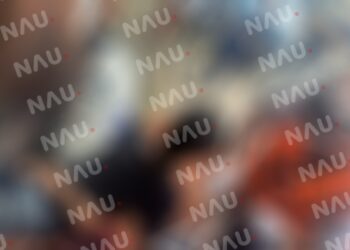 Vehículo atropella a transeúnte