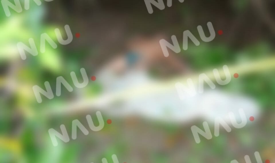 Fue a pescar y falleció ahogado en el río Suchiate