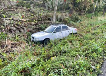 Huye conducto de un vehículo tras salirse de la carretera