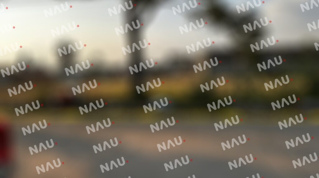 Migrante se quitó la vida al tomar pastillas para curar maíz