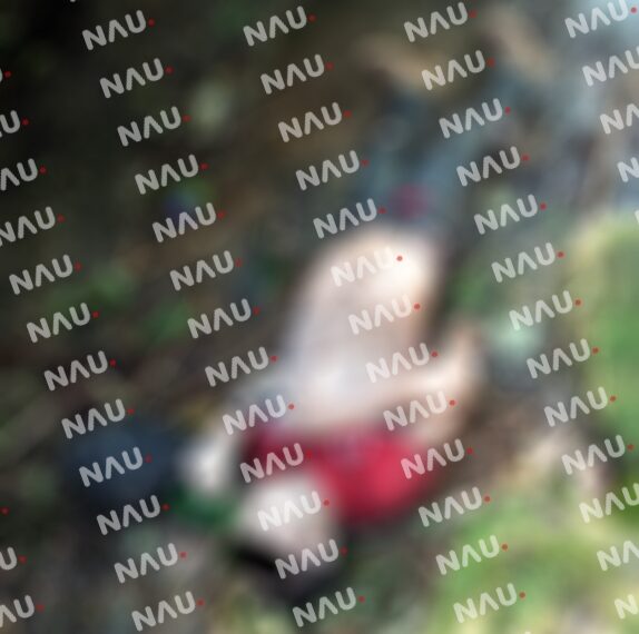 Muere joven al caer a un río