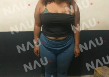 Detienen a mujer que causó daños a una bomba de una gasolinera en Viva México