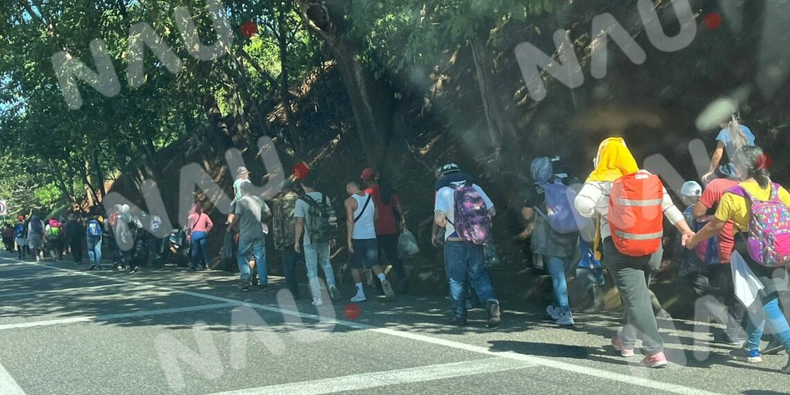 Migrantes prefieren exponer su vida para no cumplir con las leyes mexicanas