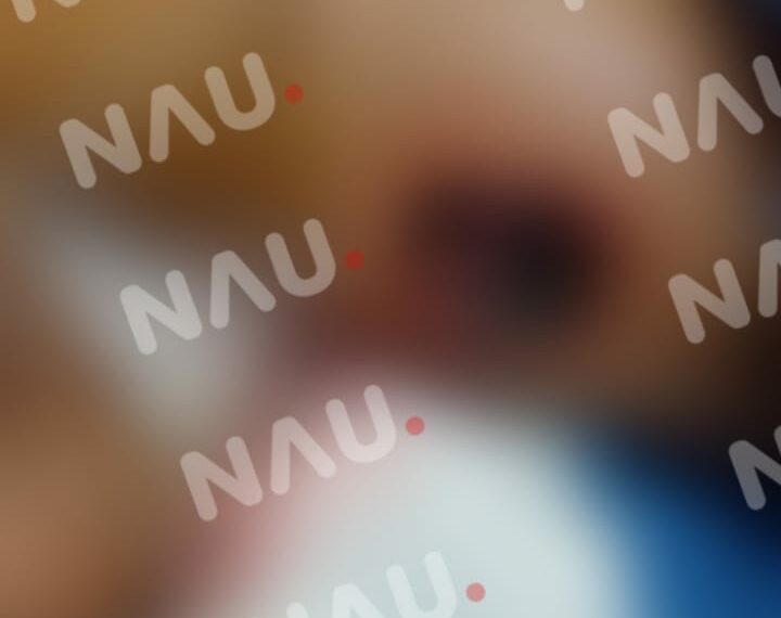 Víbora tamagas ataca a Menor de 7 años en Mapastepec