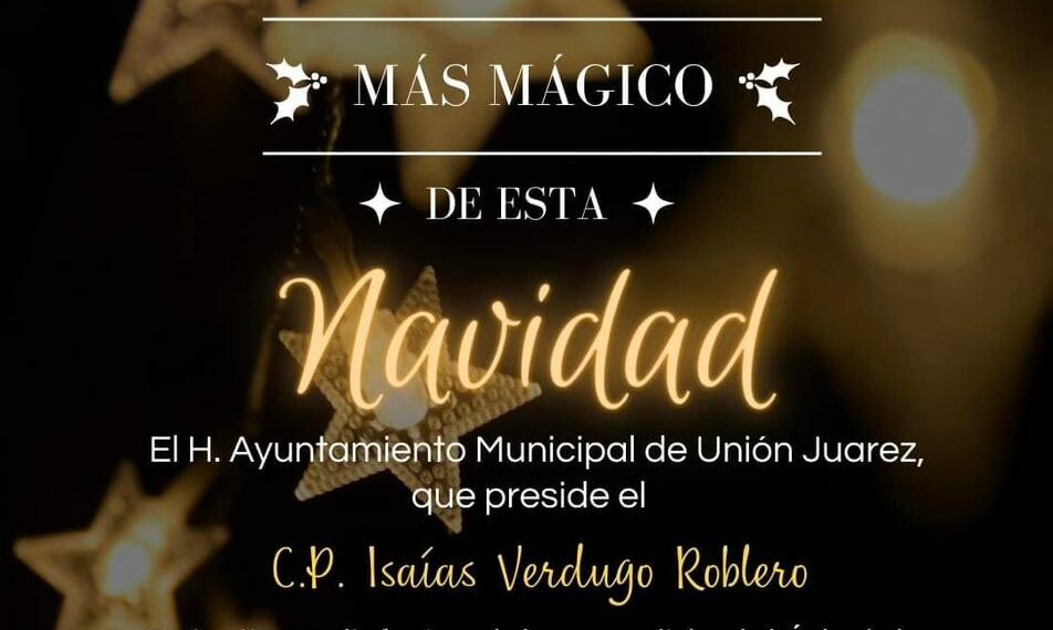 Encendido del Árbol de Navidad