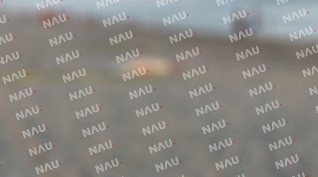 Se metió a bañar a playa del gancho y falleció ahogado