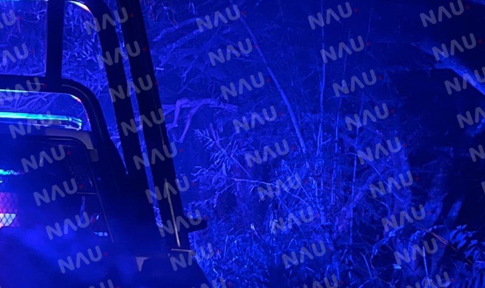 Se quita la vida centroamericano