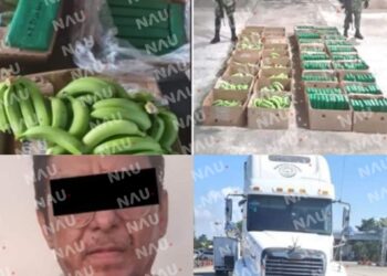 Aseguran 213 kilos de cocaína en el puesto de revisión de cerro gordo