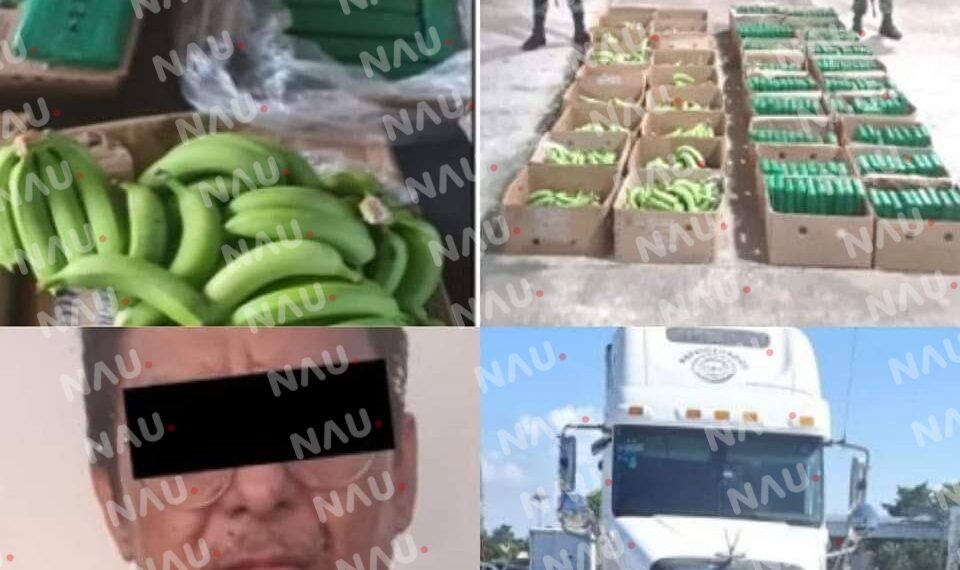 Aseguran 213 kilos de cocaína en el puesto de revisión de cerro gordo