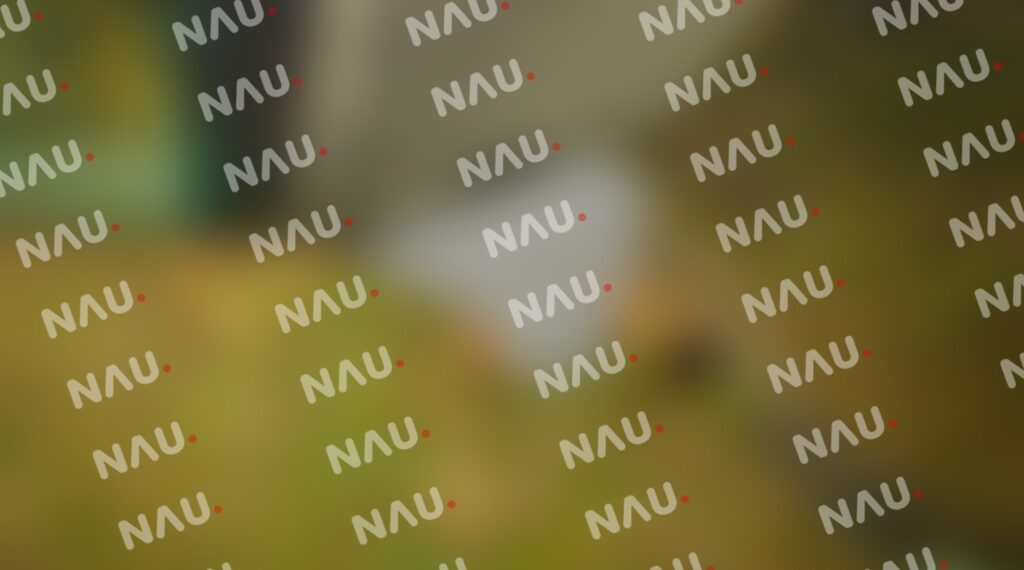 Muere conductor de una camioneta en la carretera de terracería en el ejido Álvaro Obregón