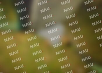 Muere conductor de una camioneta en la carretera de terracería en el ejido Álvaro Obregón