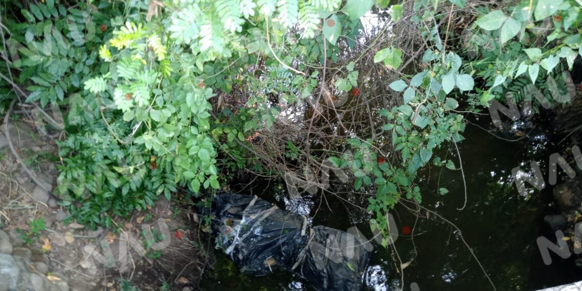 Dejan embolsado  un cuerpo en los terrenos del rancho San Roque a 300 metros del libramiento poniente