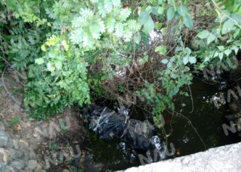 Dejan embolsado  un cuerpo en los terrenos del rancho San Roque a 300 metros del libramiento poniente