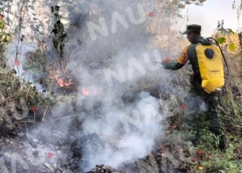 Aplica ejército mexicano plan DNIII en incendio de pastizal