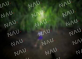 Asesinado a balazos por la espalda en HUIXTLA