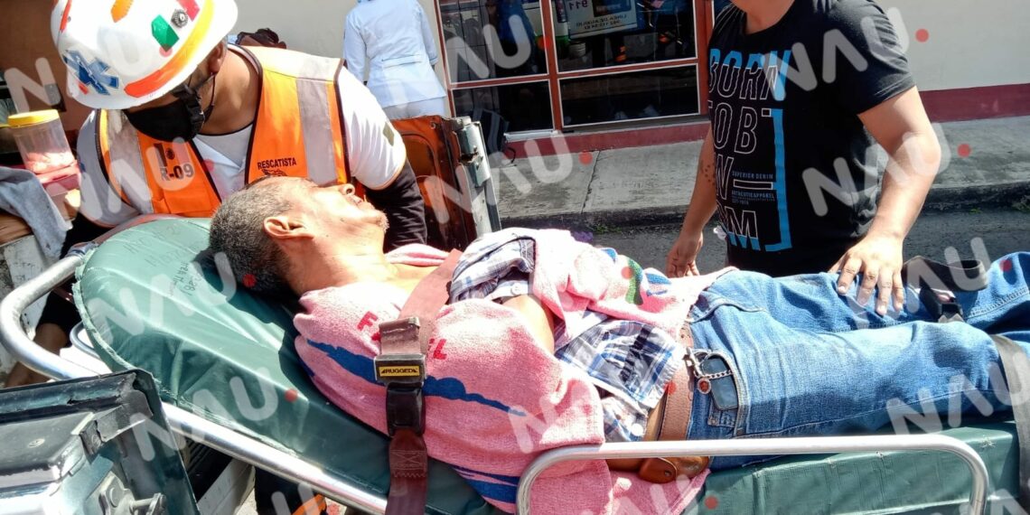 Más de 100 niños picados por abejas africanizadas