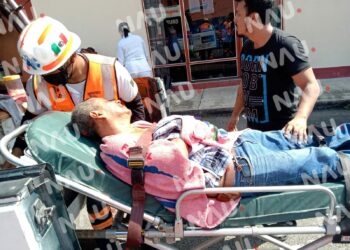 Más de 100 niños picados por abejas africanizadas