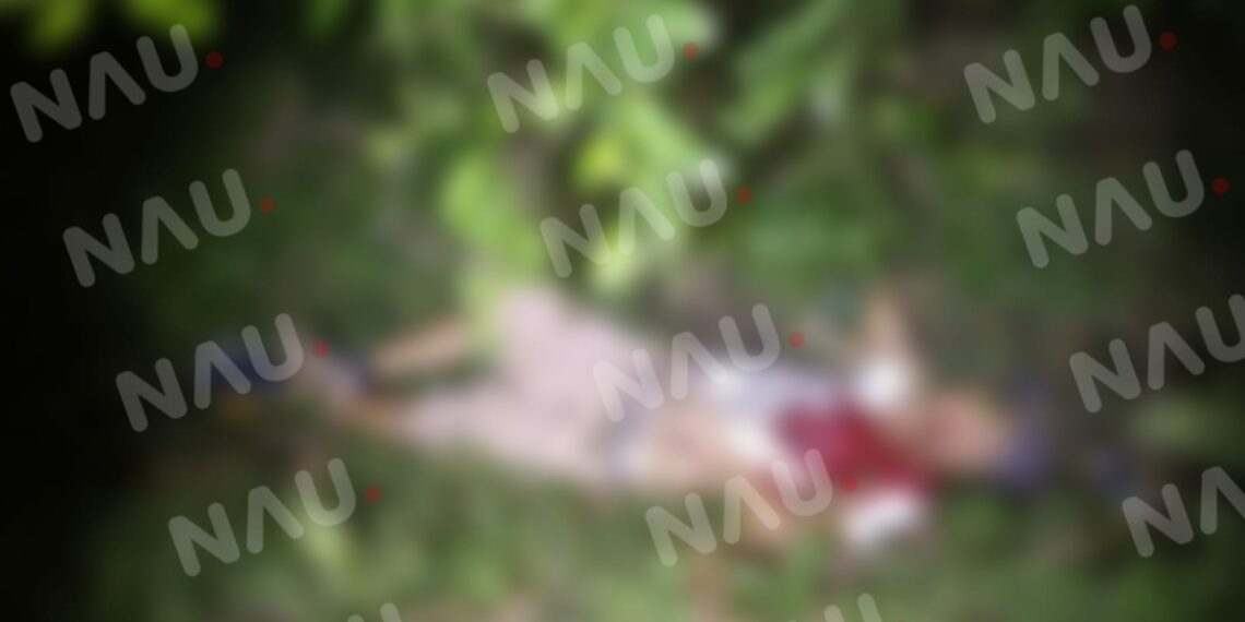 Seis plomazos acabaron con la vida de vendedor de carros