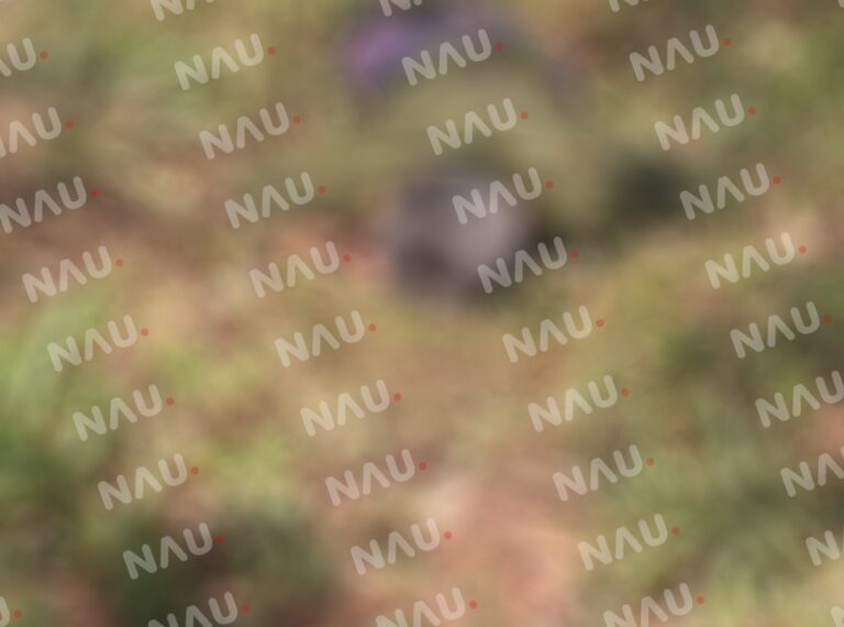 Muere una persona en la zona alta de Huehuetán