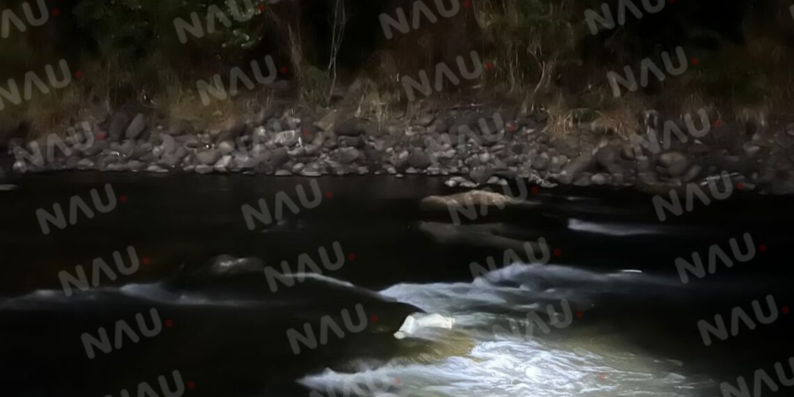 Localizan dos piernas y viseras en el río cahoacán