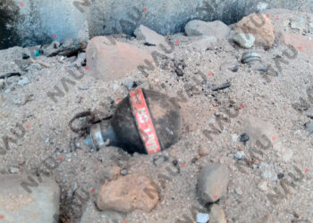 Localizan granada en Tonalá