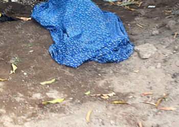 De un infarto fallece una persona en la colonia Pedregal