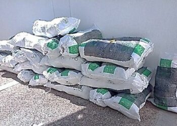 DESTRUYE FGR MÁS DE 700 MIL KILOS DE MATERIAL APÓCRIFO EN CHIAPAS