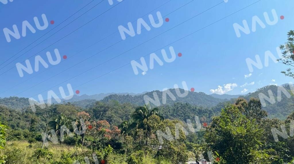 Tres plomazos acabaron con su vida