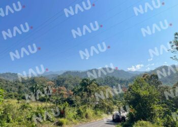 Tres plomazos acabaron con su vida