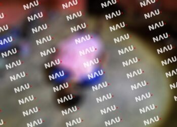 Salvadoreño escapó por la puerta falsa