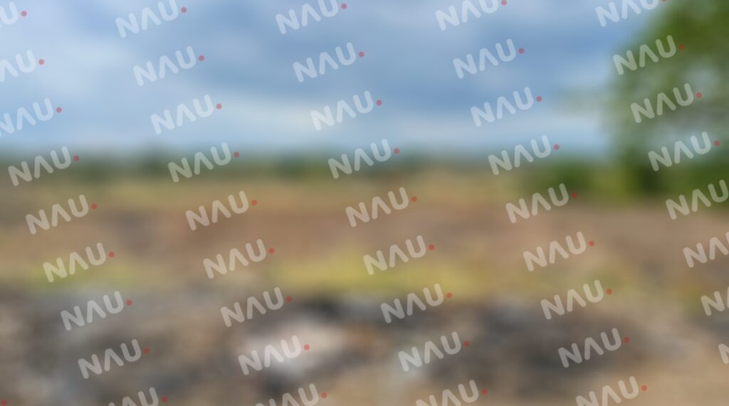 Localizan cráneo en el río Coatán, a la altura del Fraccionamiento Primavera