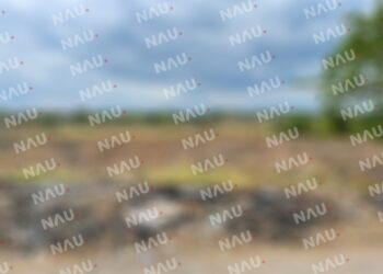 Localizan cráneo en el río Coatán, a la altura del Fraccionamiento Primavera