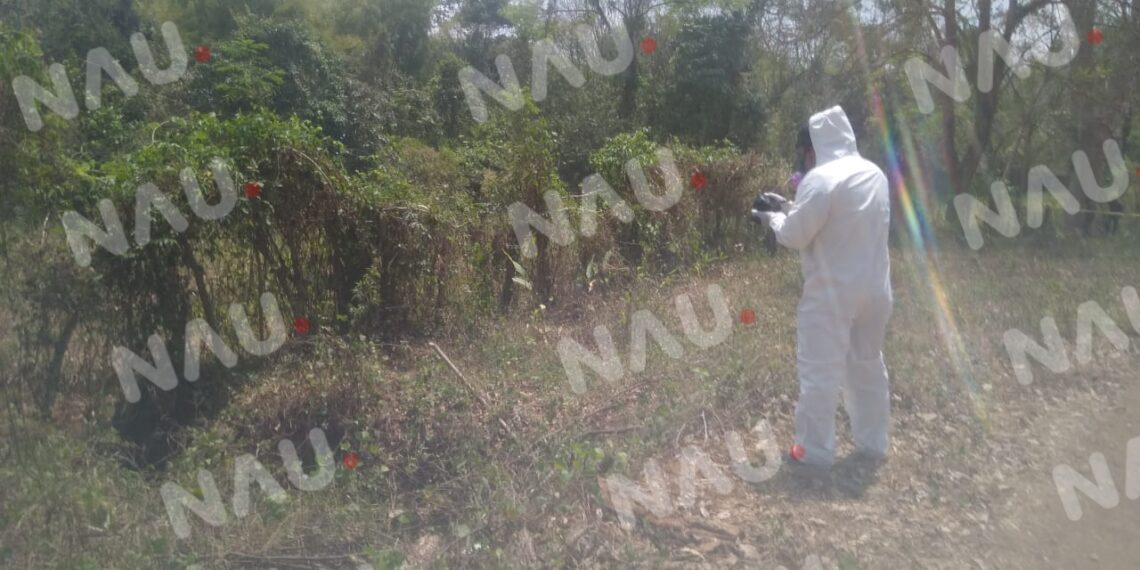 Una mujer fue asesinada y arrojada en el monte en la Colonia Montenegro de Tapachula