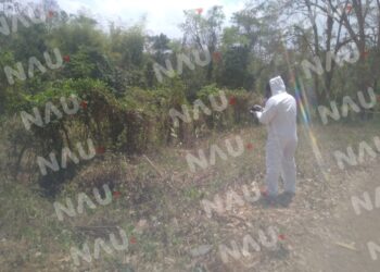 Una mujer fue asesinada y arrojada en el monte en la Colonia Montenegro de Tapachula