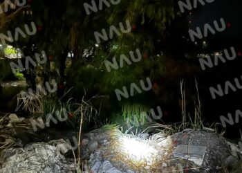 Calcinados y encostalados