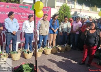 Mercados Agroecológicos Ofrecen Productos Locales, Frescos Y De La Canasta Básica