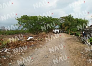 Perros devoraban restos humanos al borde del río coatán