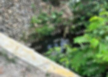 Muere una persona al caer al arroyo