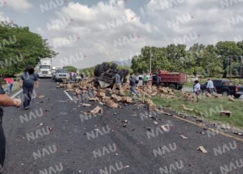 Se llevaron las cervezas