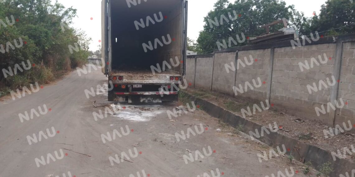 Caja de tráiler apesta a animal muerto
