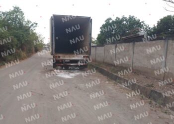 Caja de tráiler apesta a animal muerto