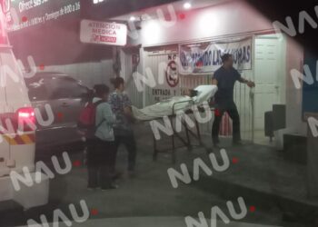 En recuperación la menor mordida por un Pitbull