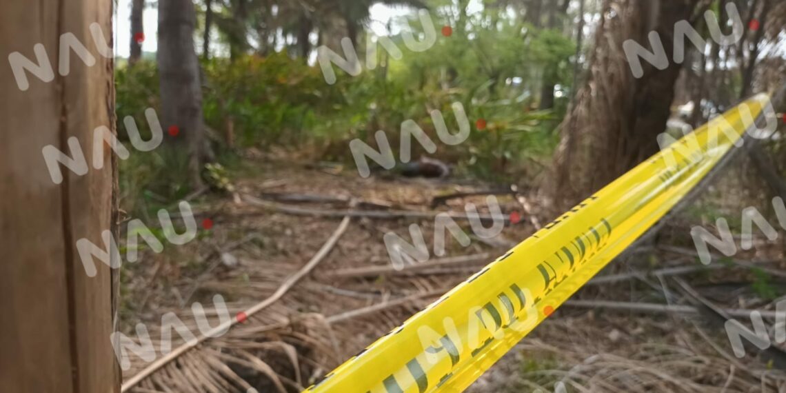 Localizan cadáver en avanzado estado de descomposición en el libramiento