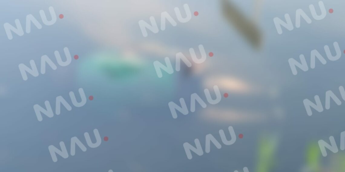 Muere un indigente ahogado en el canal de aguas negras del ejido Rayón de Suchiate