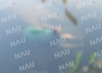 Muere un indigente ahogado en el canal de aguas negras del ejido Rayón de Suchiate